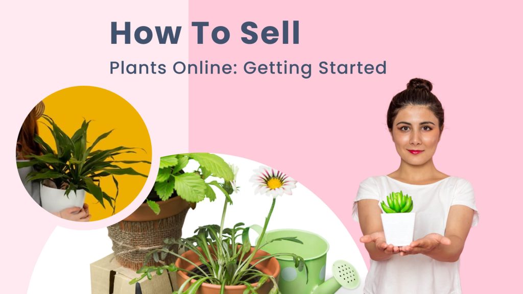 How  to sell plants online with RVS Media